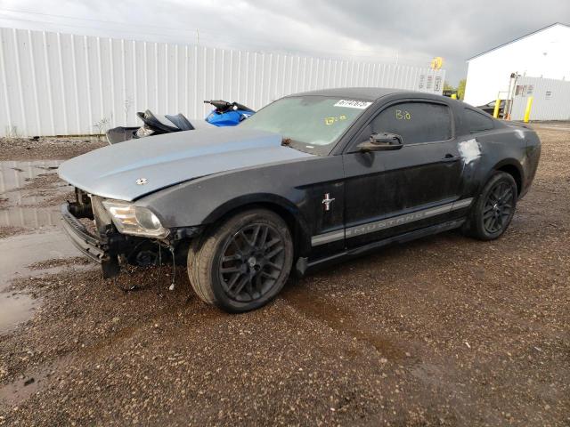 FORD MUSTANG 2012 1zvbp8am0c5213961