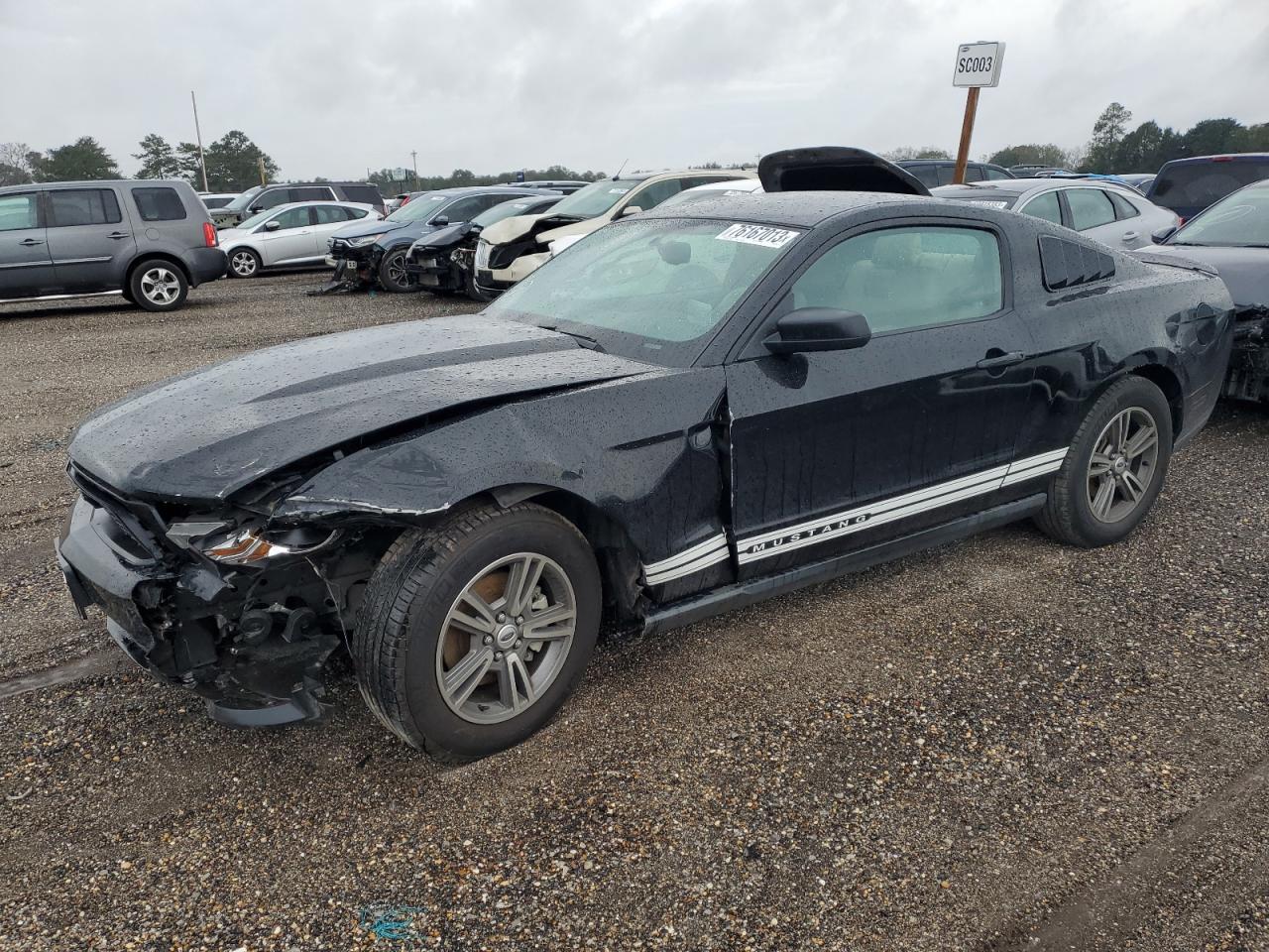 FORD MUSTANG 2012 1zvbp8am0c5220537