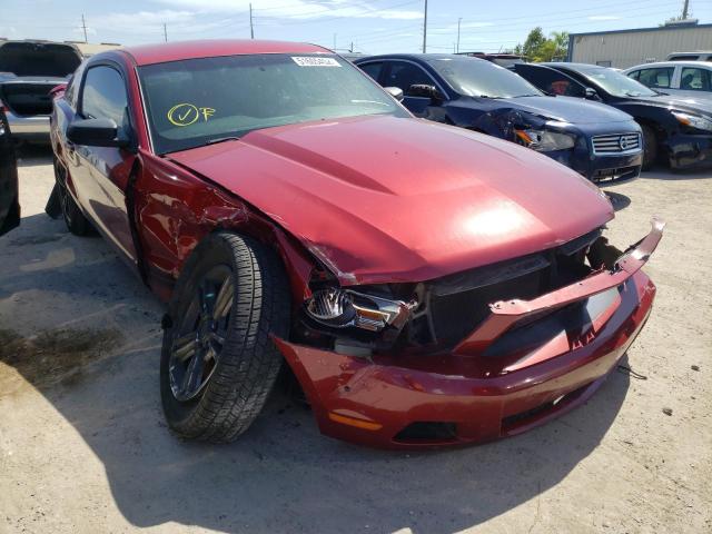 FORD MUSTANG 2012 1zvbp8am0c5242537