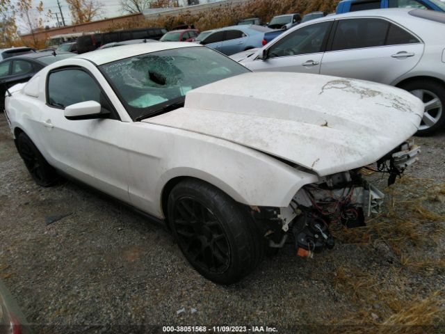 FORD MUSTANG 2012 1zvbp8am0c5246135