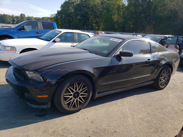 FORD MUSTANG 2012 1zvbp8am0c5280107