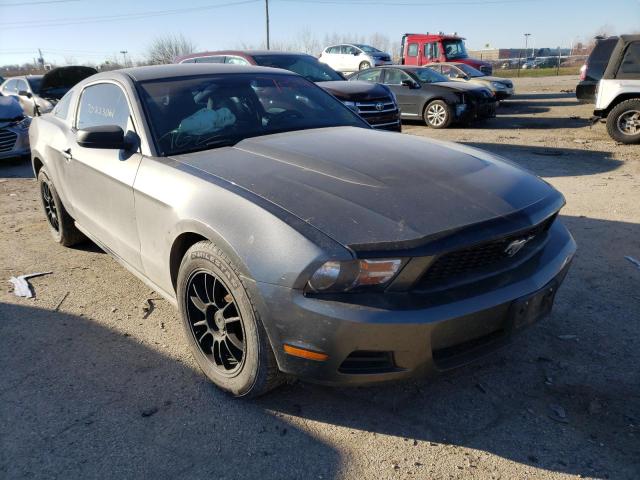 FORD MUSTANG 2012 1zvbp8am0c5280348