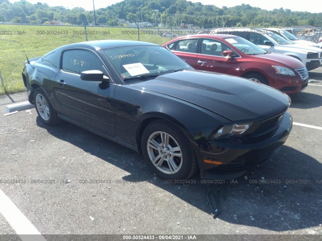 FORD MUSTANG 2012 1zvbp8am0c5281838