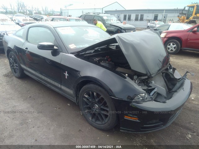 FORD MUSTANG 2013 1zvbp8am0d5202265