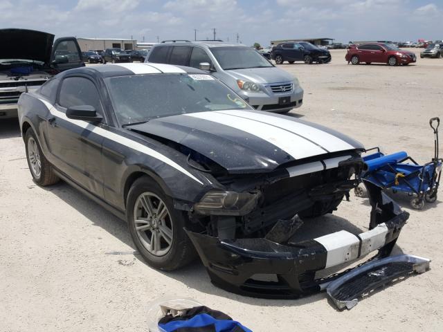 FORD MUSTANG 2013 1zvbp8am0d5203223