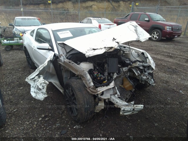 FORD MUSTANG 2013 1zvbp8am0d5206073