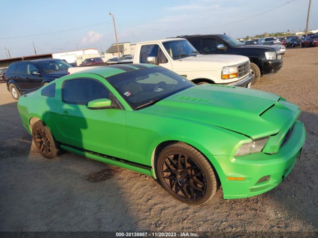 FORD MUSTANG 2013 1zvbp8am0d5220796