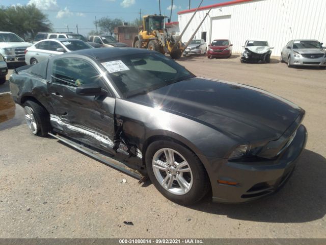 FORD MUSTANG 2013 1zvbp8am0d5221561