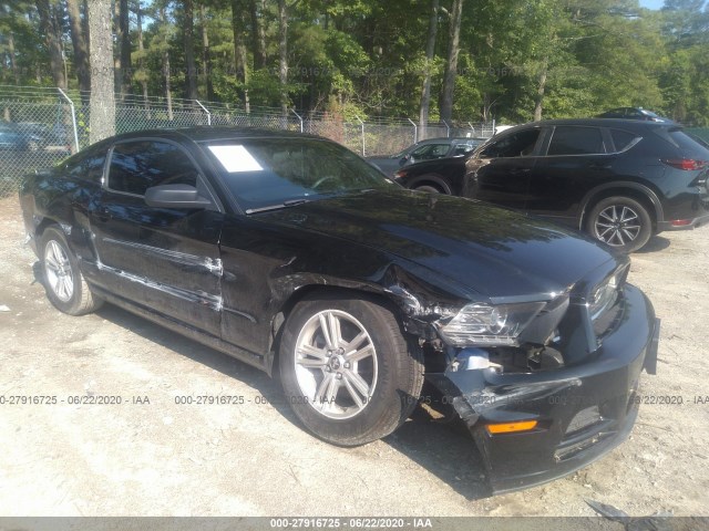 FORD MUSTANG 2013 1zvbp8am0d5222144