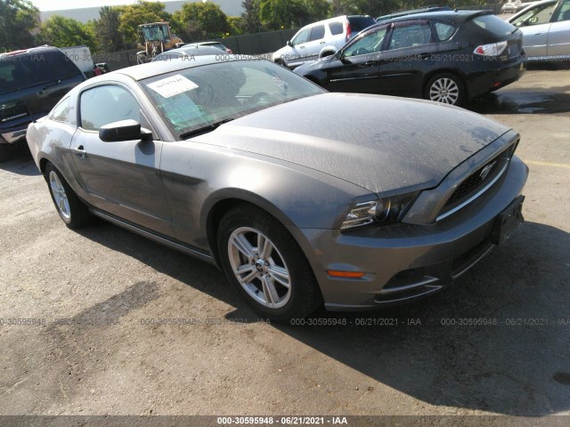 FORD MUSTANG 2013 1zvbp8am0d5224217