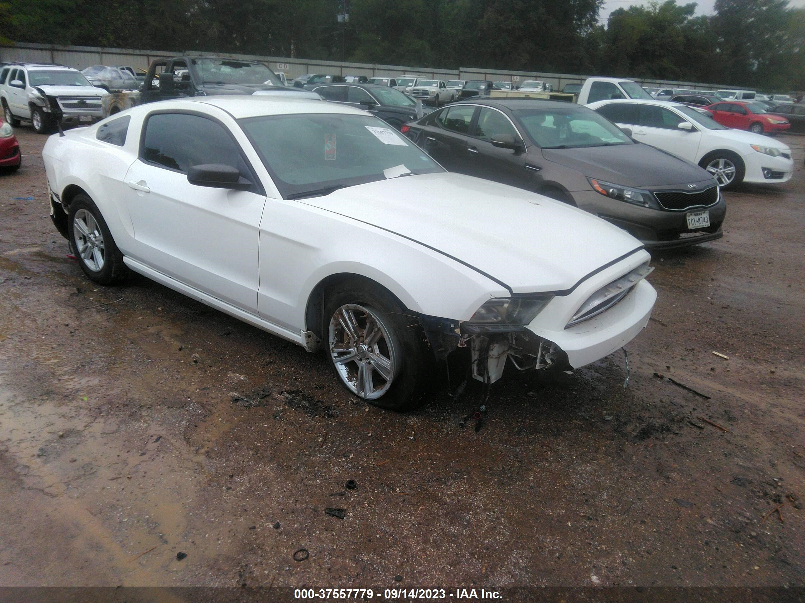 FORD MUSTANG 2013 1zvbp8am0d5226680