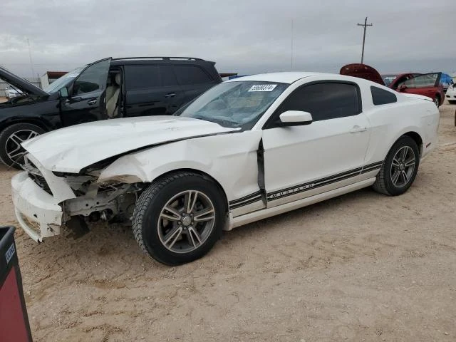 FORD MUSTANG 2013 1zvbp8am0d5227571