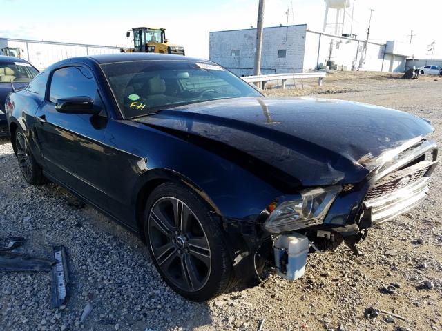 FORD MUSTANG 2013 1zvbp8am0d5235668