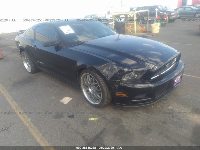 FORD MUSTANG 2013 1zvbp8am0d5241647