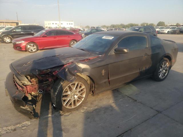 FORD MUSTANG 2013 1zvbp8am0d5249960