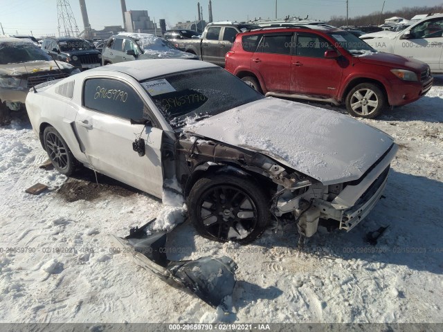 FORD MUSTANG 2013 1zvbp8am0d5251059