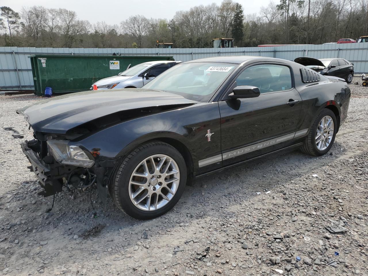 FORD MUSTANG 2013 1zvbp8am0d5252535