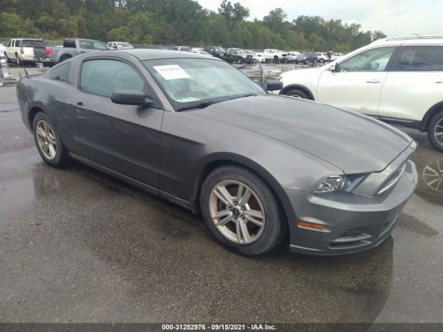 FORD MUSTANG 2013 1zvbp8am0d5253491