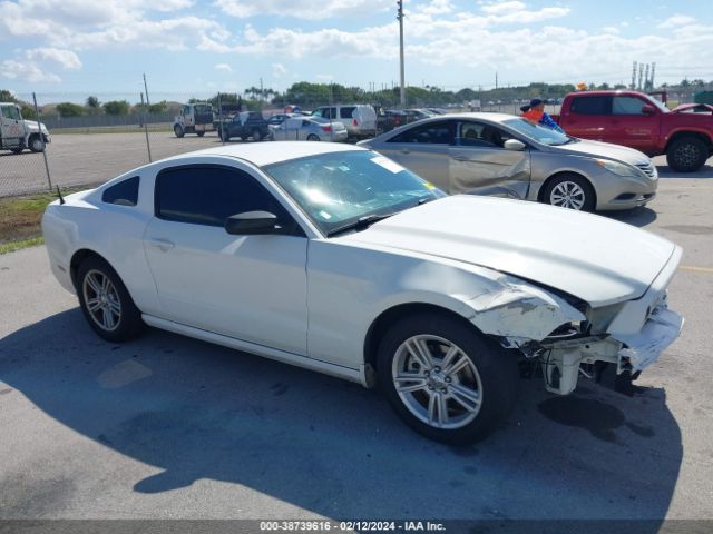 FORD MUSTANG 2013 1zvbp8am0d5256424