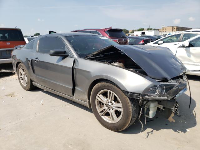 FORD MUSTANG 2013 1zvbp8am0d5259257