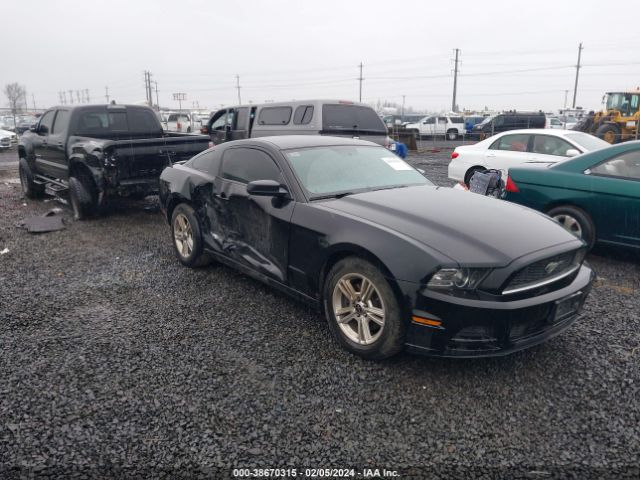 FORD MUSTANG 2013 1zvbp8am0d5262708