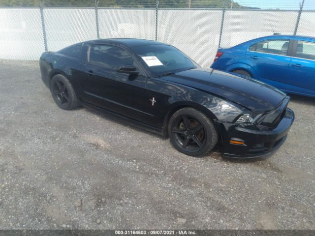 FORD MUSTANG 2013 1zvbp8am0d5266290