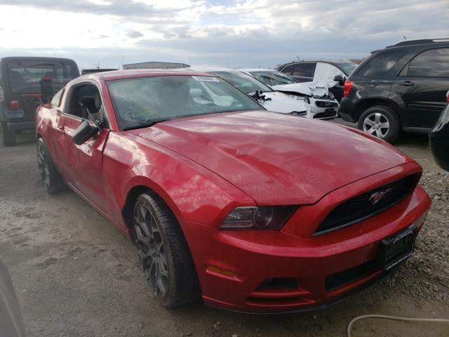 FORD MUSTANG 2013 1zvbp8am0d5274454