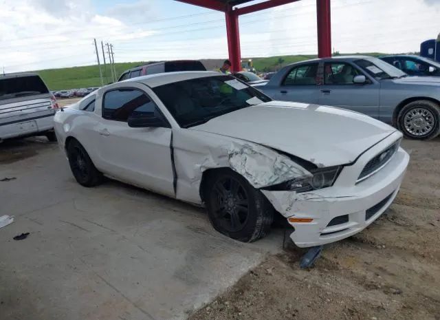 FORD MUSTANG 2013 1zvbp8am0d5275913