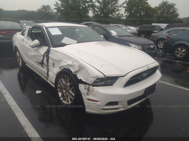 FORD MUSTANG 2013 1zvbp8am0d5277063