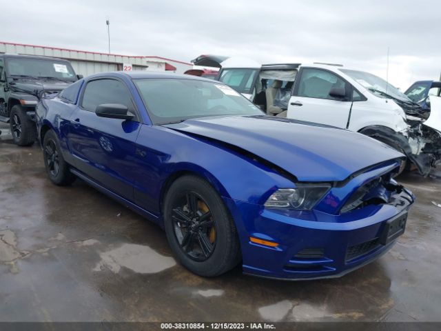 FORD MUSTANG 2013 1zvbp8am0d5278763