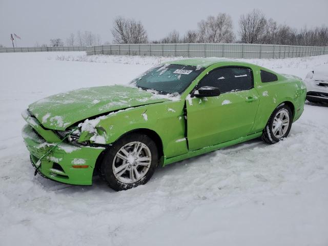 FORD MUSTANG 2013 1zvbp8am0d5281727