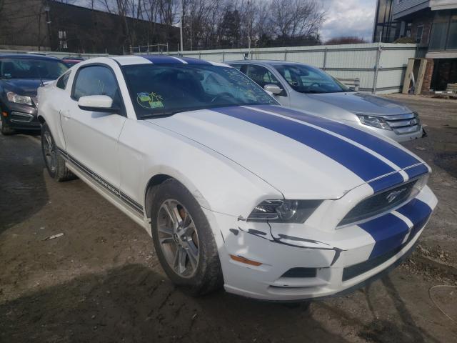 FORD MUSTANG 2014 1zvbp8am0e5201411