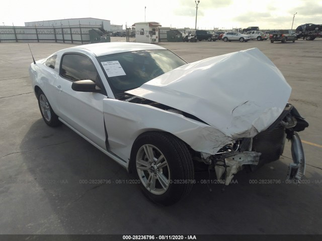 FORD MUSTANG 2014 1zvbp8am0e5207421