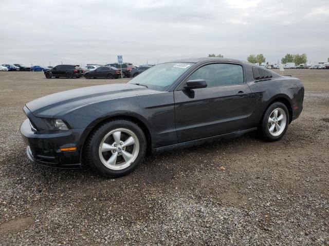 FORD MUSTANG 2014 1zvbp8am0e5213865