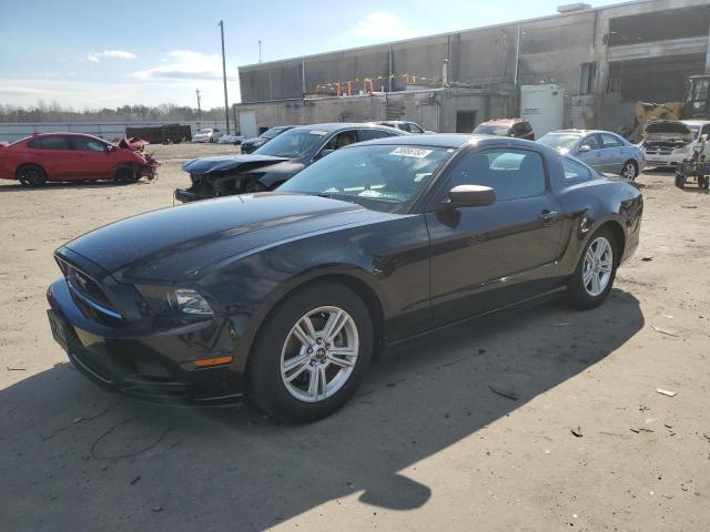 FORD MUSTANG 2014 1zvbp8am0e5228401