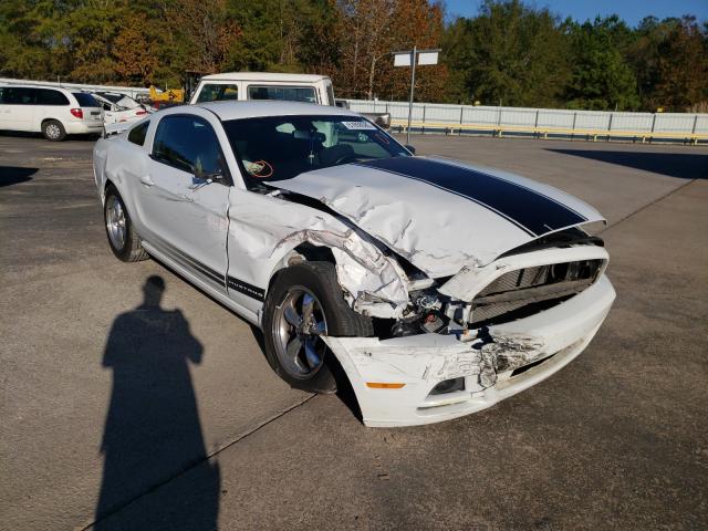 FORD MUSTANG 2014 1zvbp8am0e5251340