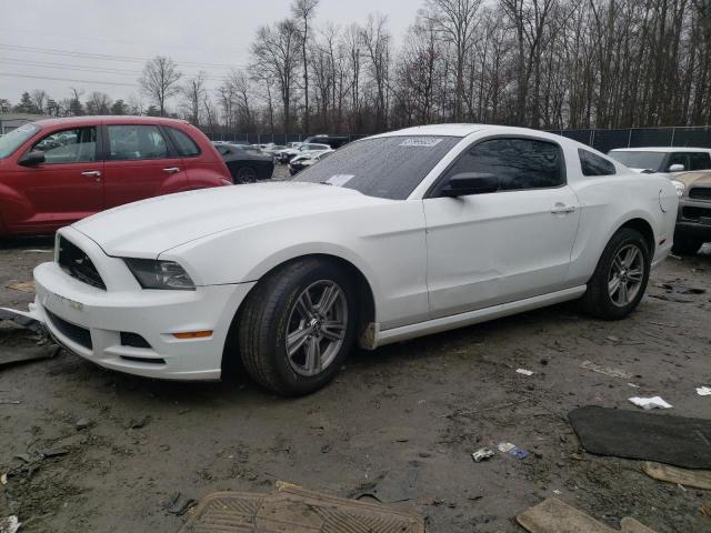 FORD MUSTANG 2014 1zvbp8am0e5251502