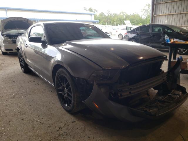 FORD MUSTANG 2014 1zvbp8am0e5252200