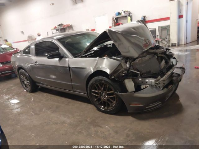 FORD MUSTANG 2014 1zvbp8am0e5254772