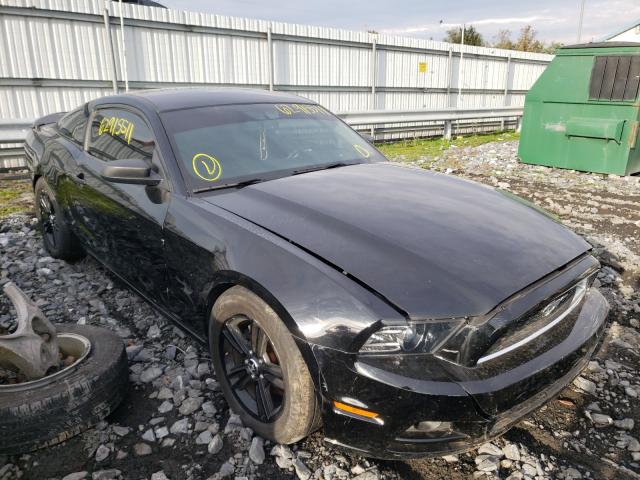 FORD MUSTANG 2014 1zvbp8am0e5261754