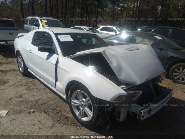 FORD MUSTANG 2014 1zvbp8am0e5262404