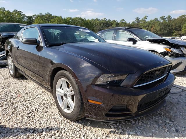 FORD MUSTANG 2014 1zvbp8am0e5269997