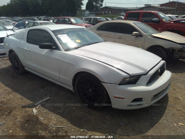 FORD NULL 2014 1zvbp8am0e5282751