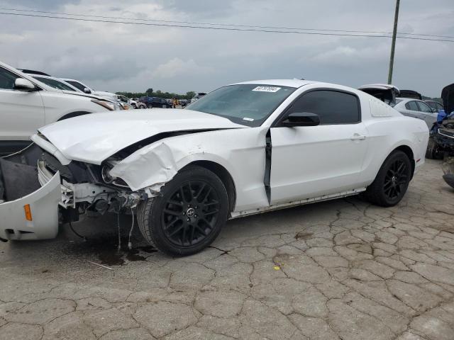 FORD MUSTANG 2014 1zvbp8am0e5286783