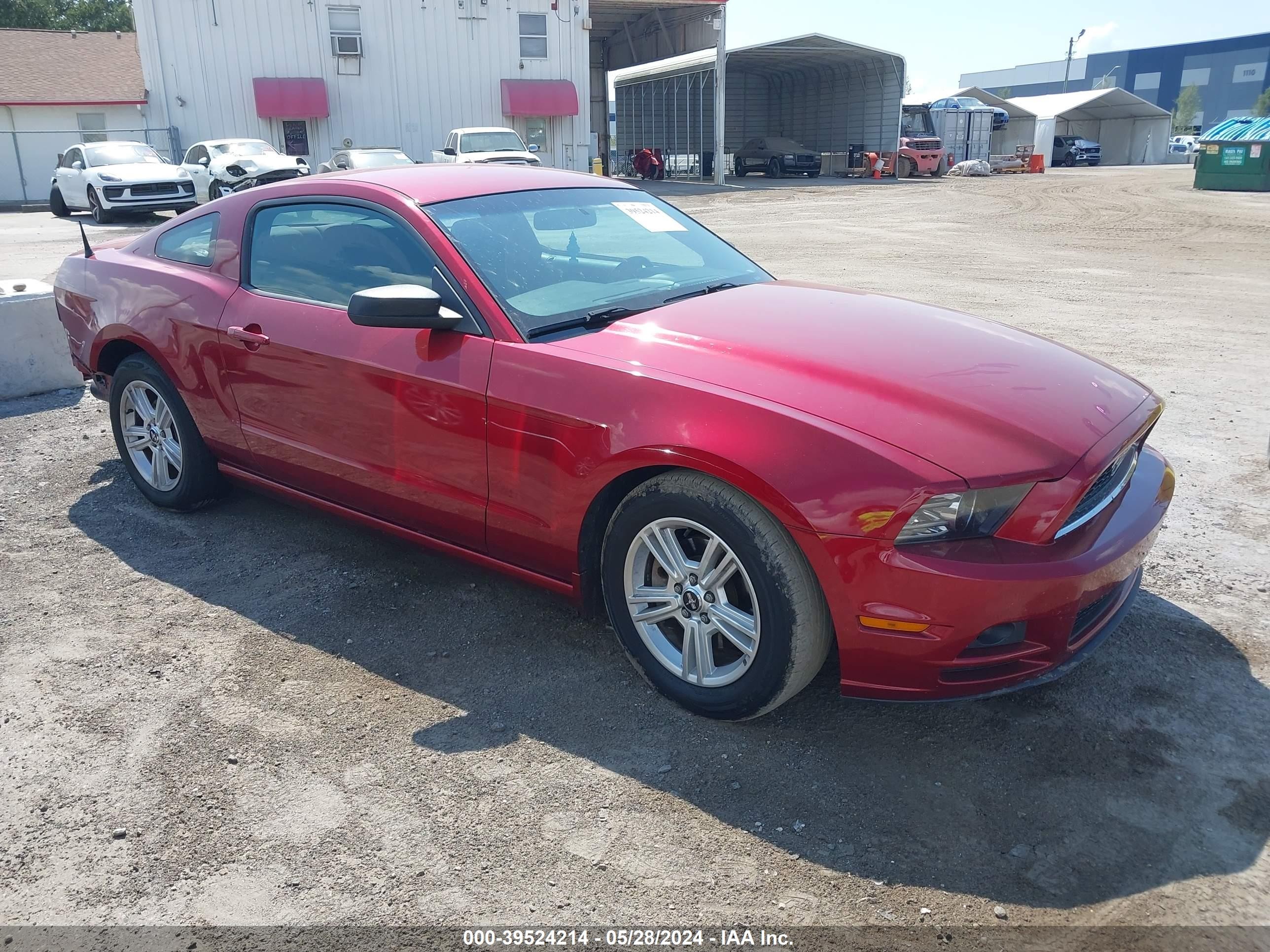 FORD MUSTANG 2014 1zvbp8am0e5298545