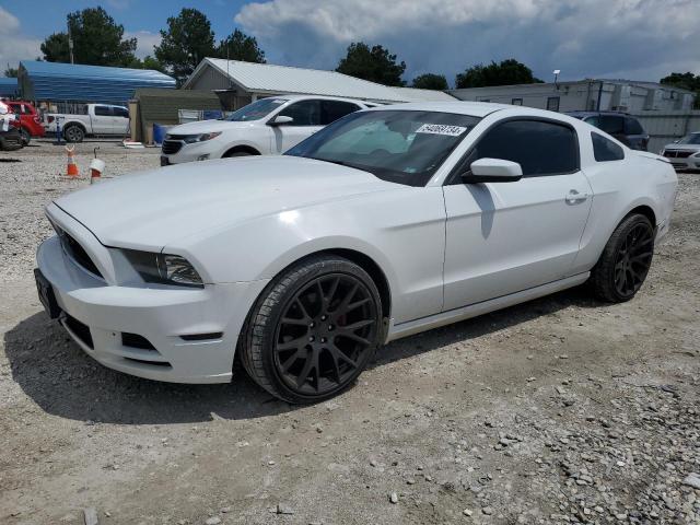 FORD MUSTANG 2014 1zvbp8am0e5300391