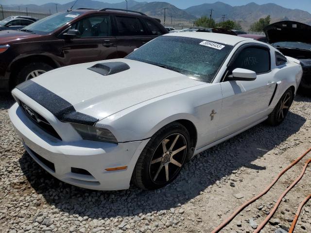 FORD MUSTANG 2014 1zvbp8am0e5312315