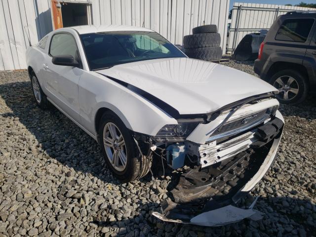 FORD MUSTANG 2014 1zvbp8am0e5313867