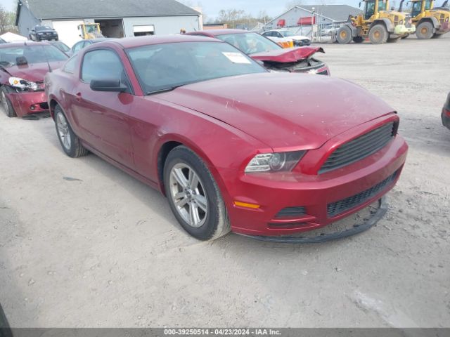 FORD MUSTANG 2014 1zvbp8am0e5314775