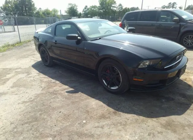 FORD MUSTANG 2014 1zvbp8am0e5315439